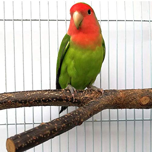 BILLIOTEAM 4 Pack Natural Wood Bird Perch Parrot Stand Review