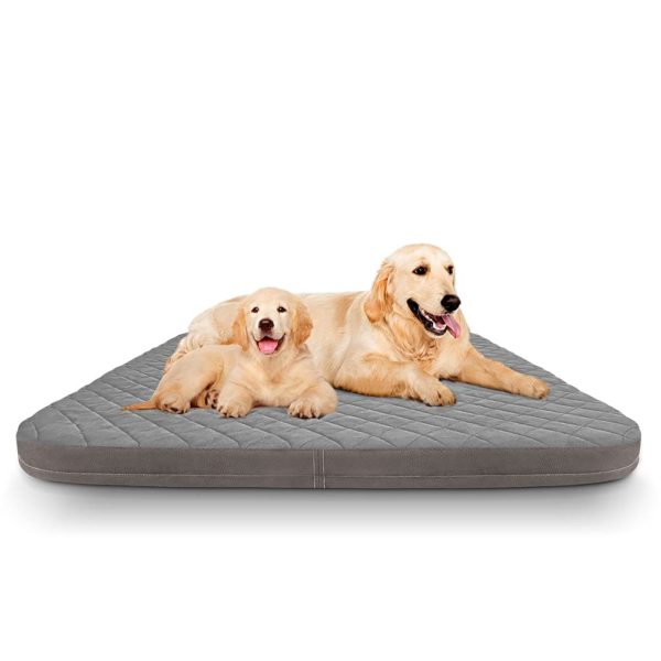 Large Dog Bed Orthopedic Foam Dog Beds