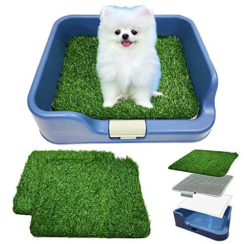 Dog Potty Tray for No Leak, Spill, Accident