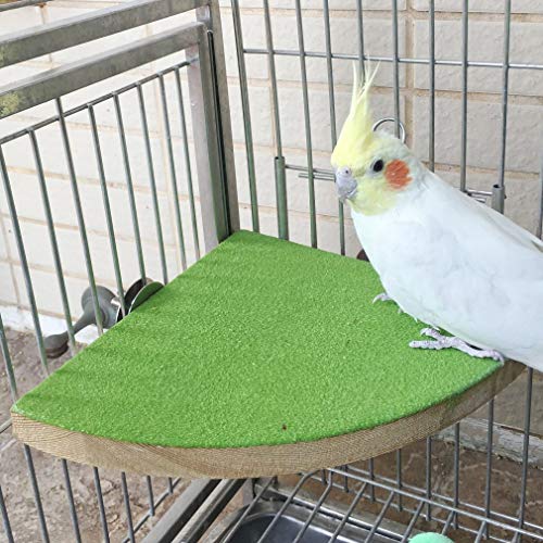Parrots Perch Stand Birdcage Platform