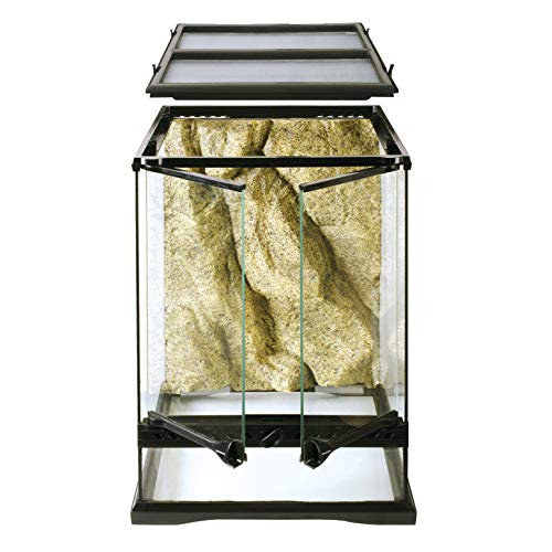 Reptiles and Amphibians Glass Terrarium Kit