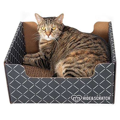 Hide & Scratch: Large Durable Cardboard Cat Scratch Pad