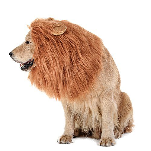 Realistic & Funny Lion Mane for Dogs