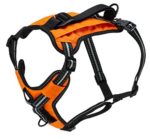 PetSafe Walk-Along Outdoor Dog Harness