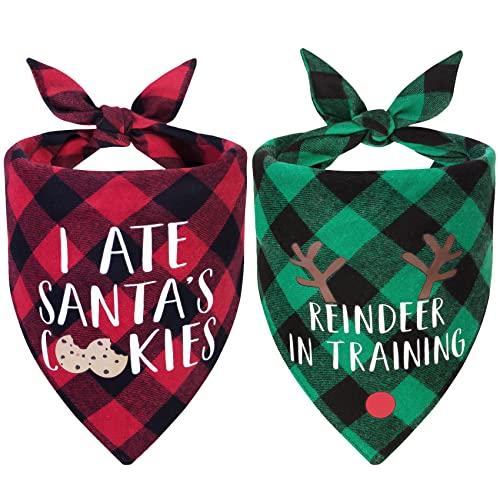 Roberly 2 Pack Dog Bandana Christmas Plaid