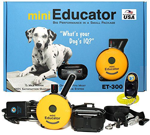 Medium or Long Coats Waterproof Remote Dog Trainer