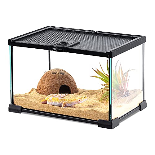 Mini Reptile Glass Terrarium Tank