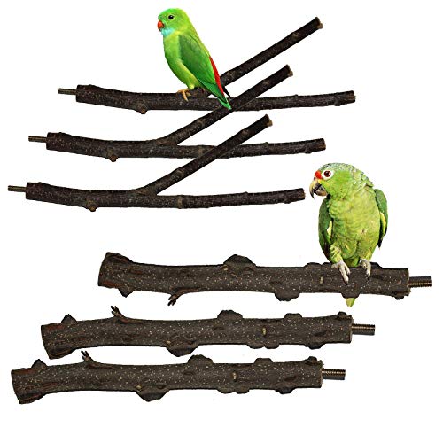 kathson Parrot Perches Birds Stand Pole Toy