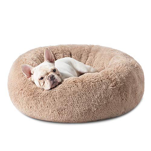 Washable Dog Bed for Small Dogs