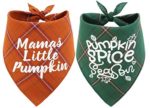 Fall Bandanas for Puppy Cat Small Large Dogs