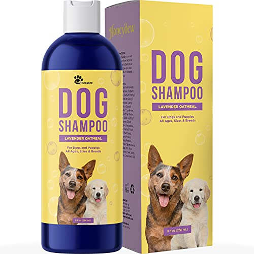 Cleansing Dog Shampoo for Smelly Dogs