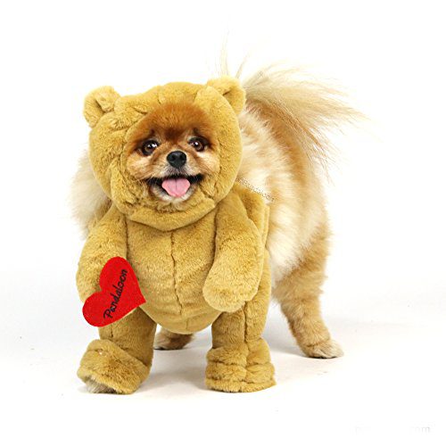 Pandaloon Brown Teddy Bear Dog and Pet Costume Set