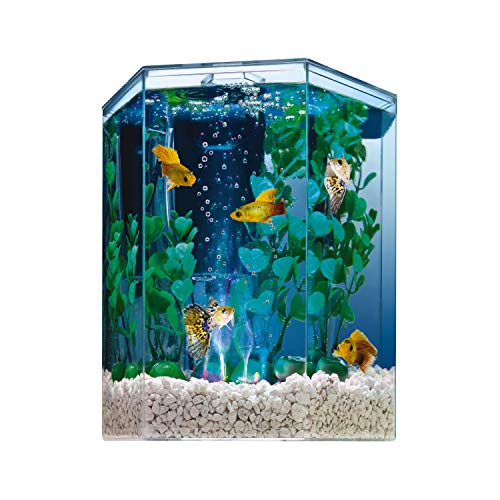 Tetra Bubbling LED Aquarium Kit 1 Gallon