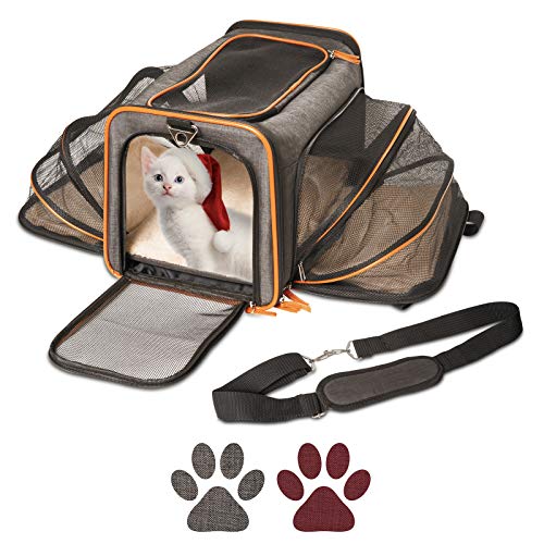 Airline Approved Expandable Pet Carrier by Pet Peppy