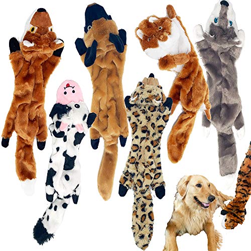Jalousie 6 Pack (18 Inch) Dog Squeaky Toys