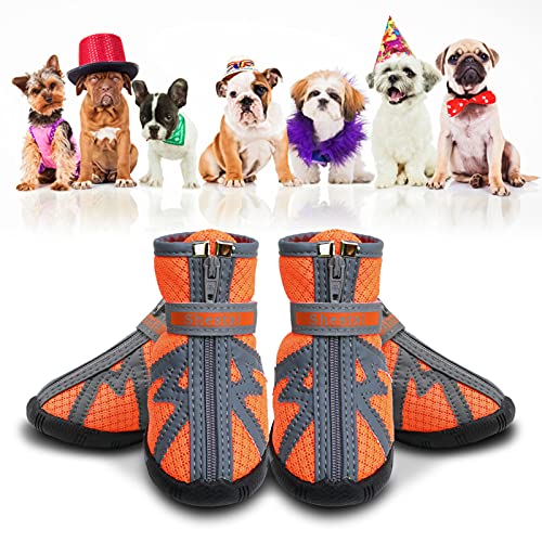 Small Dog Booties Hot Pavement