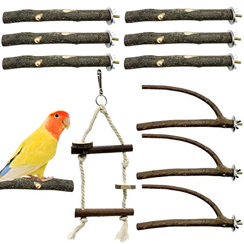 EBaokuup Bird Parrot Perch Stand Set