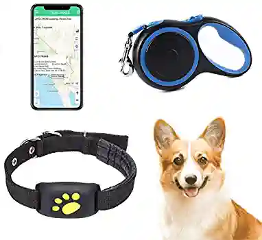 Collar GPS Tracker Waterproof Real Time Tracking Device