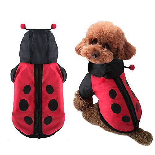FLAdorepet Halloween Dog Ladybug Costume Outfits