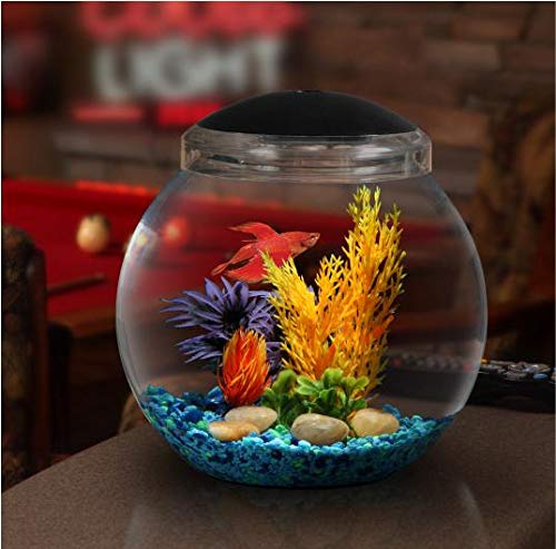 Koller Products 1-Gallon Fish Bowl with LED Lighting