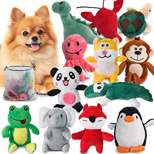 Squeaky Dog Toys for Puppy Small Medium Dogs