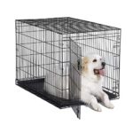 Folding Metal Dog Crate Leak-Proof