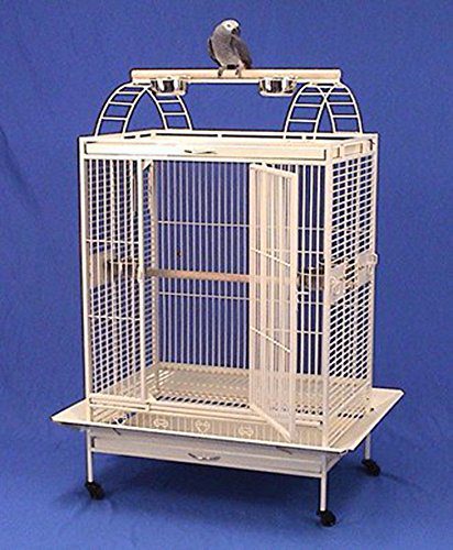 X Large Double Ladders Open PlayTop Wrought Iron Bird Parrot Cage