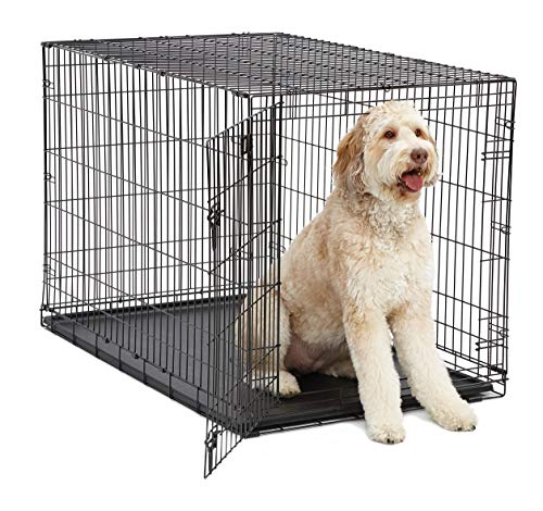 Folding Metal Dog Crate XL Dog Breed