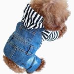 Dog Jeans Jumpsuit Overall Strip Hoodie Coat