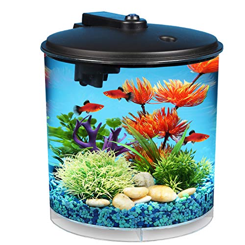 Koller Products AquaView 2-Gallon Aquarium