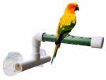 Hypeety Bird Parrot Stand Perch Shower Standing Toy