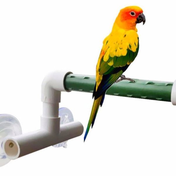 Hypeety Bird Parrot Stand Perch Shower Standing Toy