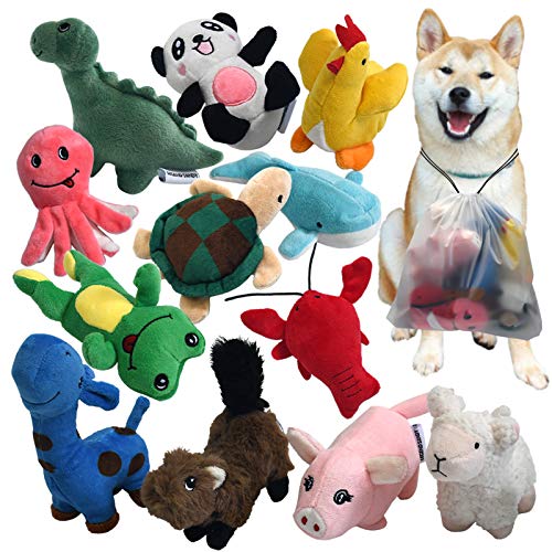 Squeaky Plush Dog Toy Pack for Puppy