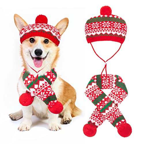 PAWCHIE Christmas Dog Costume Hat and Knit Scarf