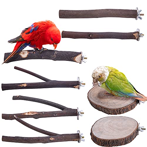 Deloky 8 PCS Natural Wood Bird Perch Stand