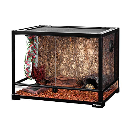 Reptile Glass Terrarium Tank with Screen Ventilation Reptile Terrarium