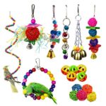 kathson 17 Packs Bird Toys Parrot Swing Chewing Toys