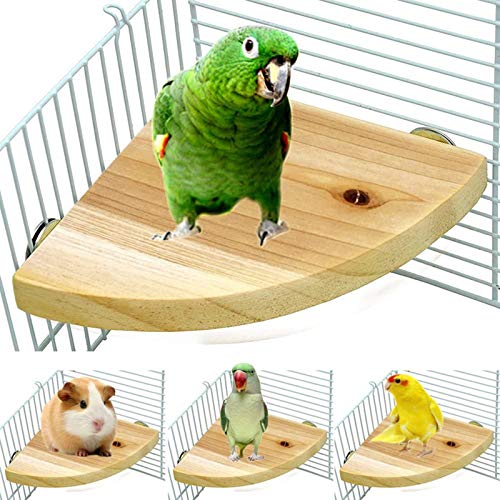 Wood Perch Bird Platform Parrot Stand Playground