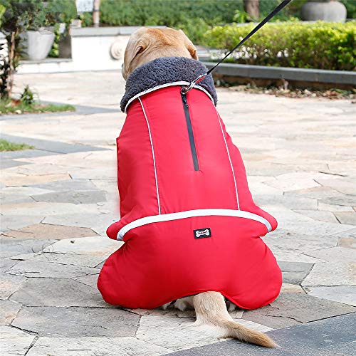 PENIVO Cold Weather Reflective Coats Best ⋆ PetSep.com