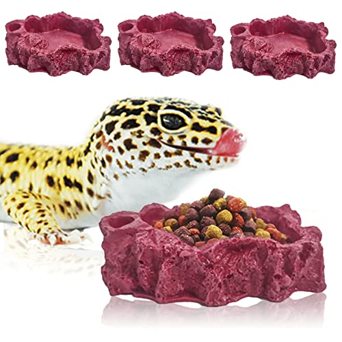 Reptile Food Bowls Set 4 Pack
