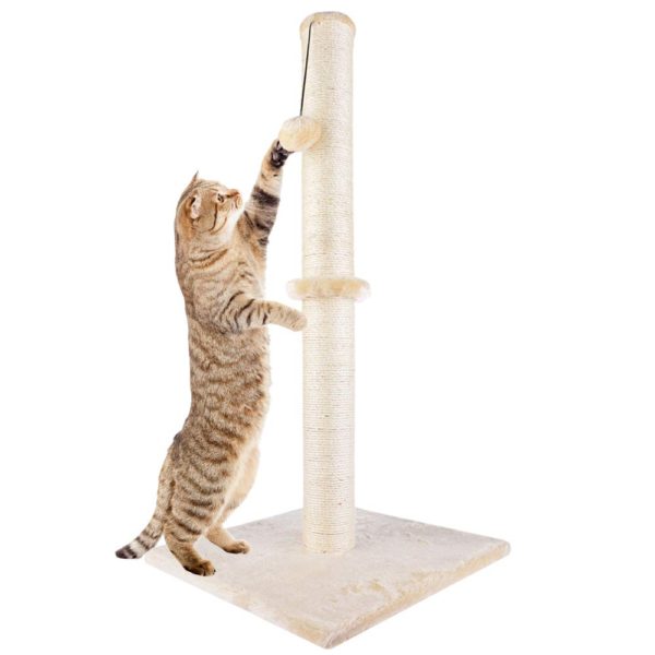 Height Tall Cat Scratching Post with Sisal Rope