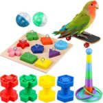 Training Toys Parrot Intelligence Toy