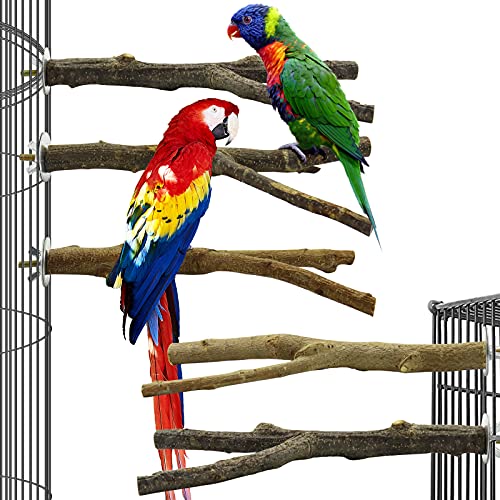 Storystore Bird Perches Parakeet Bird Cage Accessories