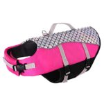 Dog Life Jacket Swimming, Boating, Canoeing