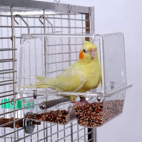 KINTOR No-Mess Bird Feeder NO Assembly