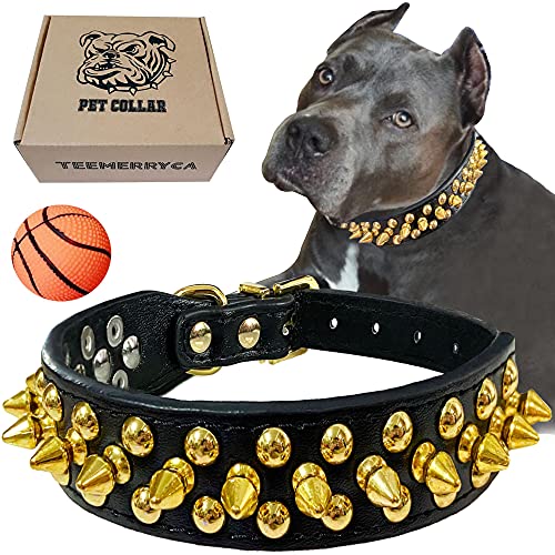 Black Leather Dog Collar with Gold Spikes