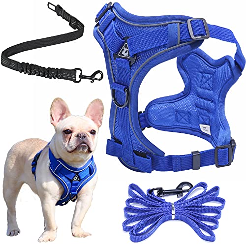 Dog Seatbelt for Small and Medium Pets