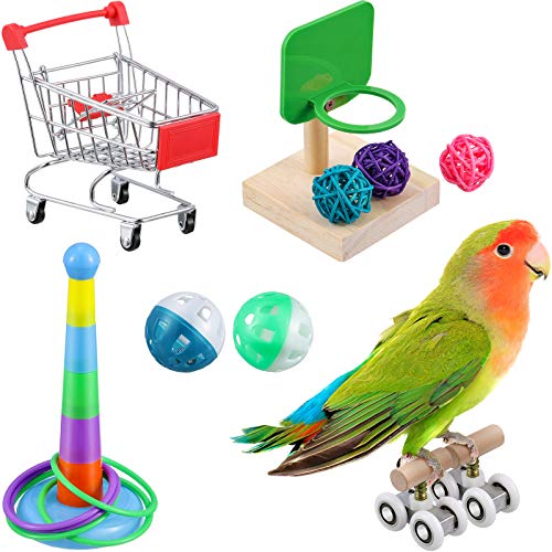 Parrots and Birds Training Intelligence Toys