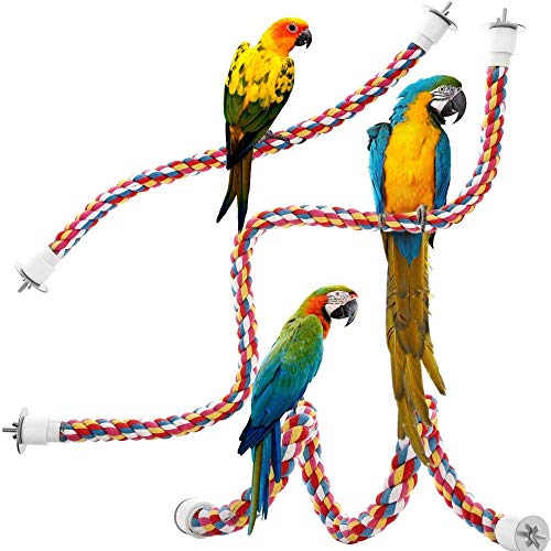 2PCS Chicken Rope Perch Set - Your Pet's New Favorite Playground