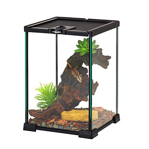 REPTIZOO Mini Reptile Glass Terrarium Tank